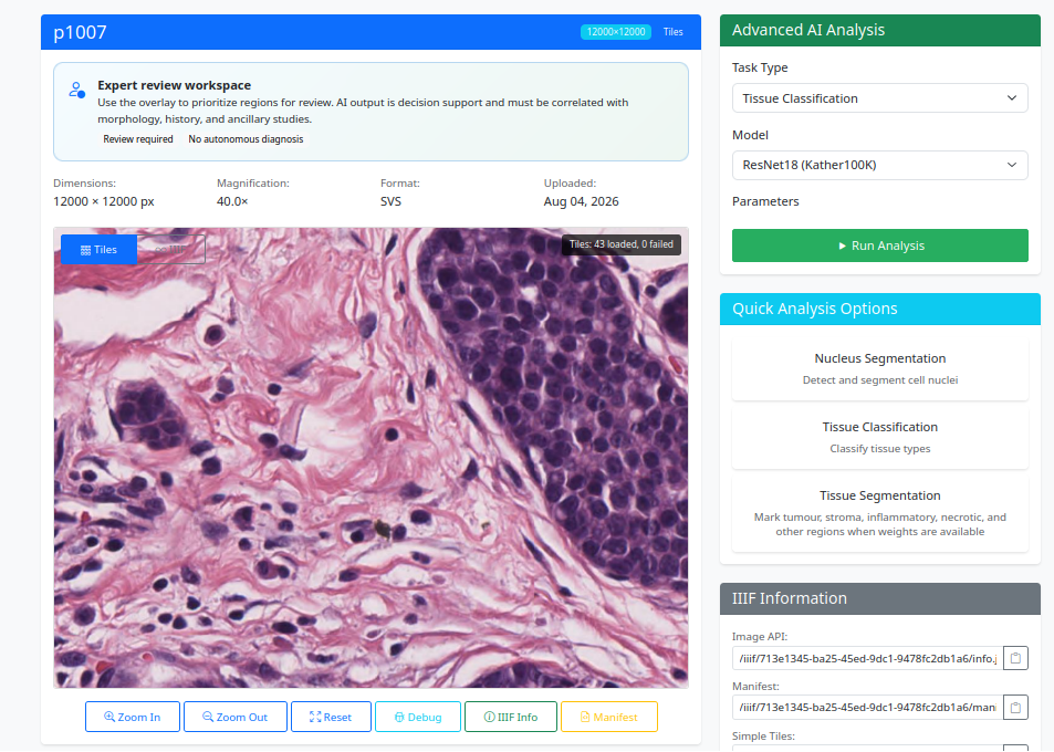 Smart Pathology viewer