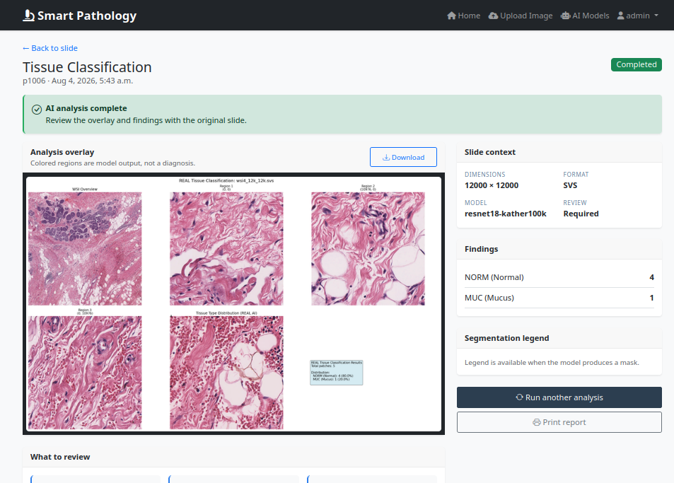 Tissue classification report