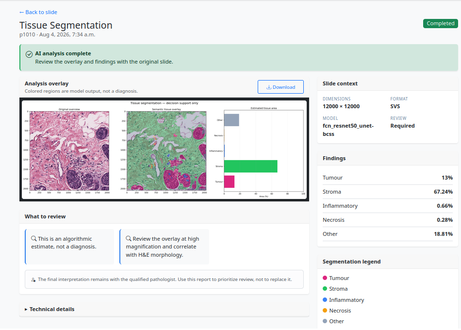 Tissue segmentation report